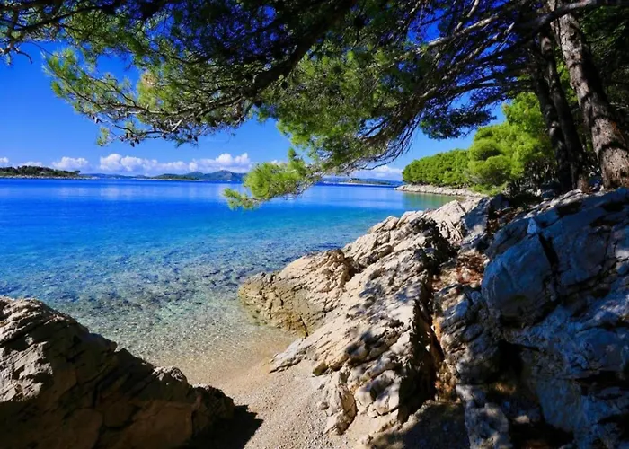 In With Free Wifi Zadar